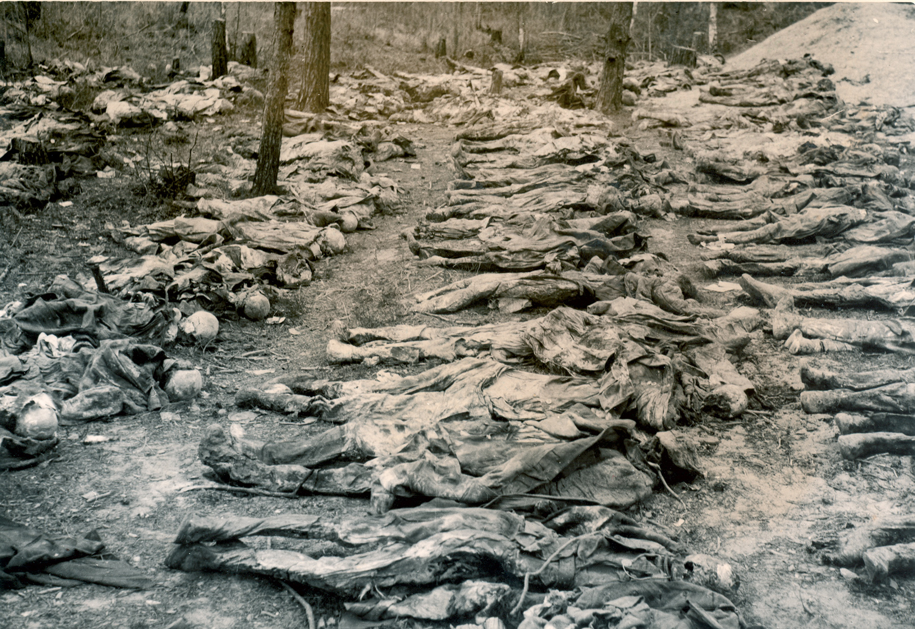Katyni áldozatok (forrás: internet)